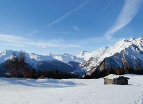 Schneeschuhwandern zur Alm