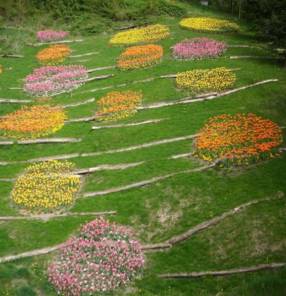 Surrounding Surrounding