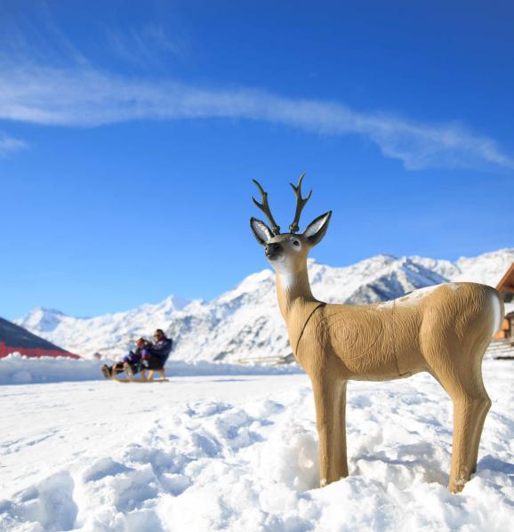 Tobogganing in Stulles Tobogganing in Stulles